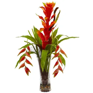 Bromeliad and Heliconia in Vase