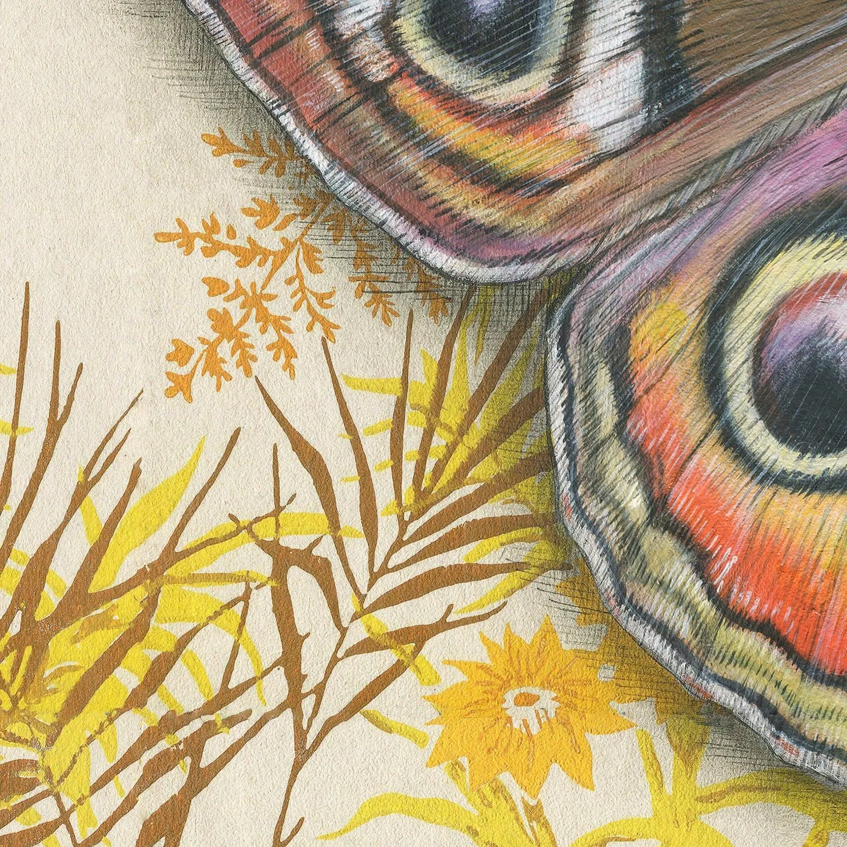 Buckeye Butterfly Illustration - Fine Art Print