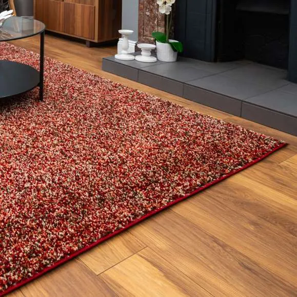 Burnt Orange Mottled Shaggy Living Room Rug