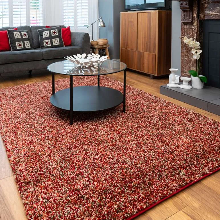 Burnt Orange Mottled Shaggy Living Room Rug