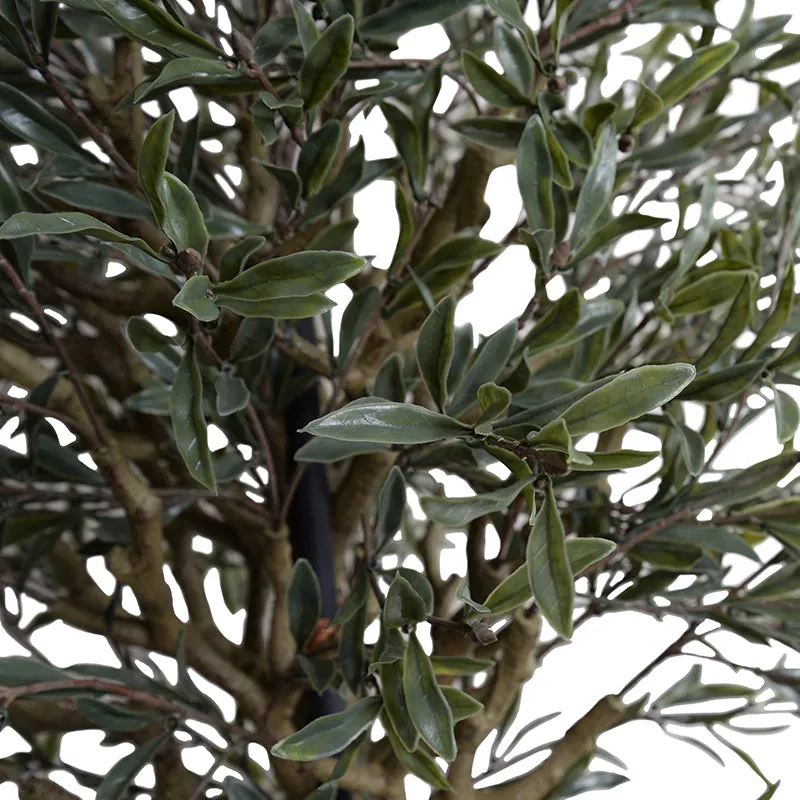 Olive Single Topiary